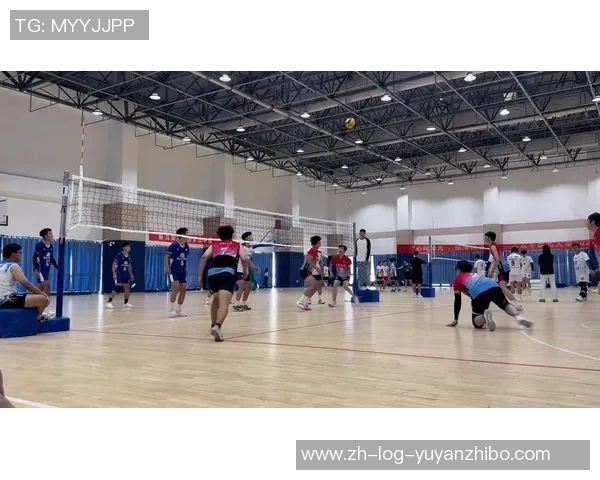 重庆排球队的速度之美:探索排球运动中的快速反应与团队配合