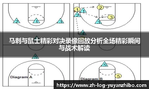 雨燕体育