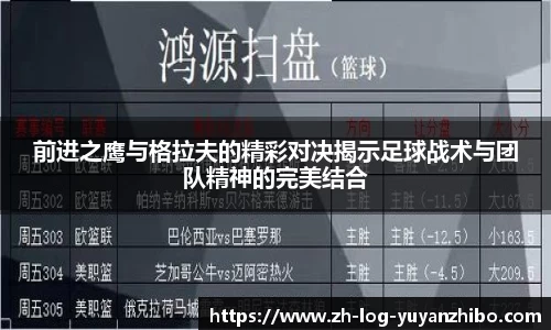 雨燕体育直播