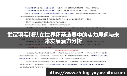 雨燕体育直播