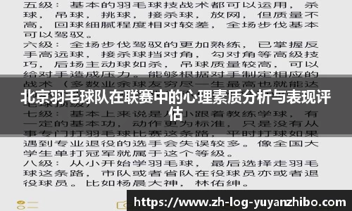 雨燕直播