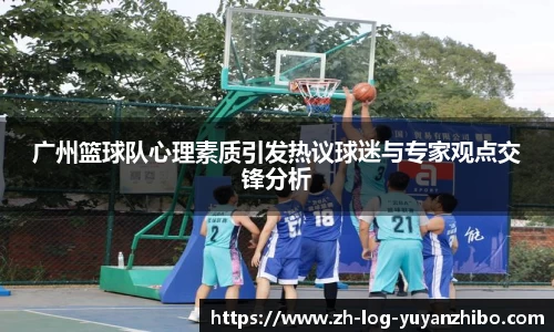雨燕直播